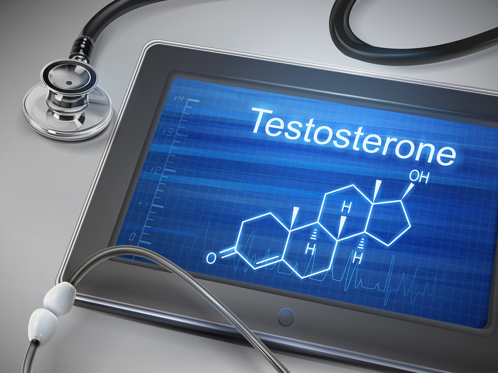 テストステロンの役割